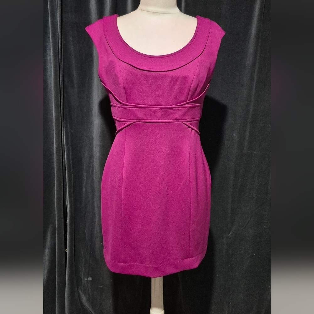 Maggy London Fuchsia Mini Dress